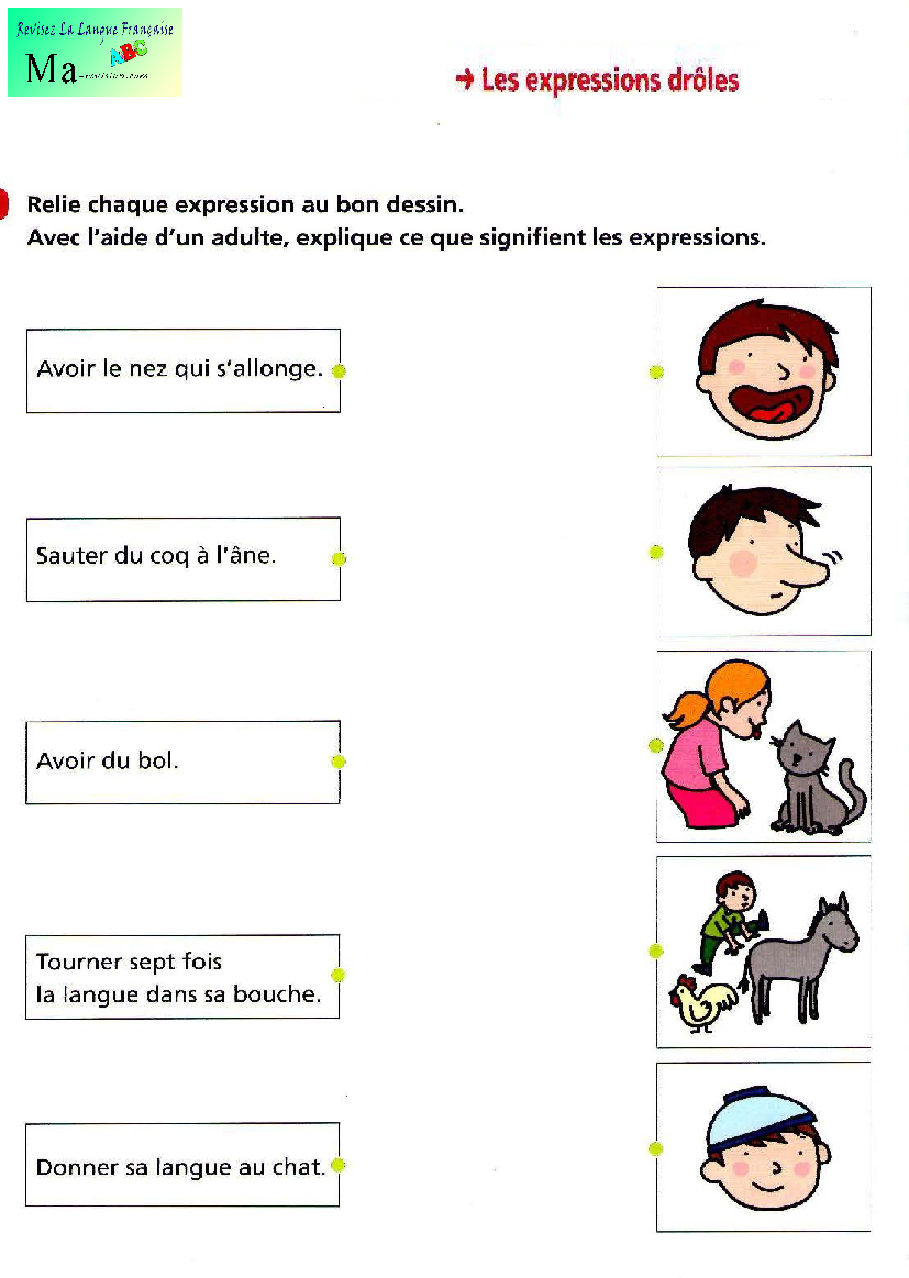 les-expression-droles