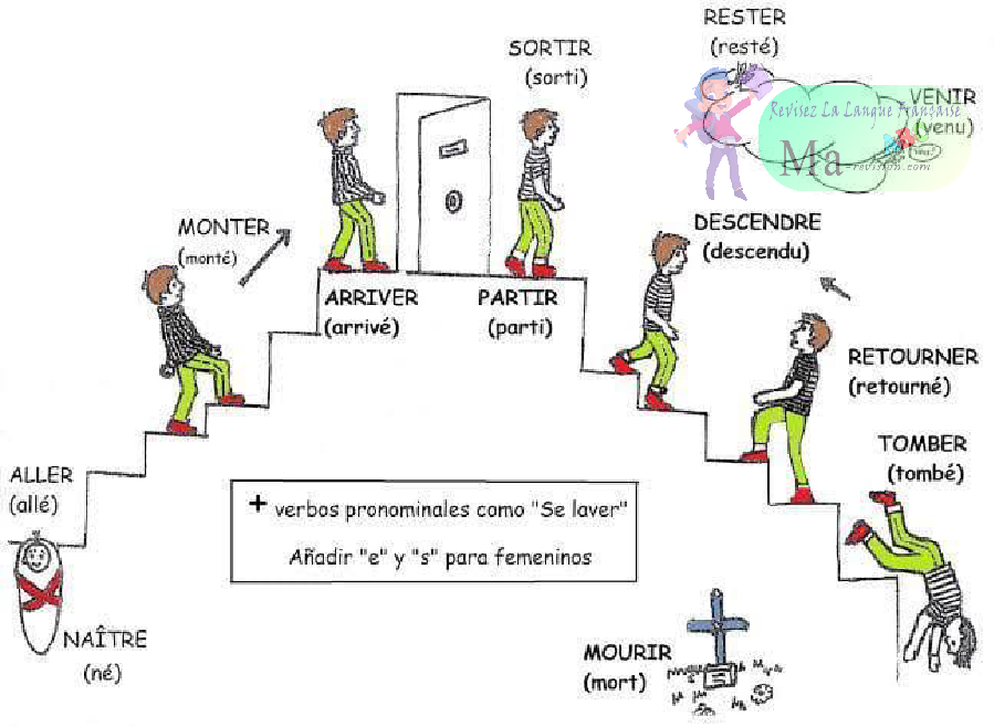 verbes-conjugues-avec-être-passe-compose
