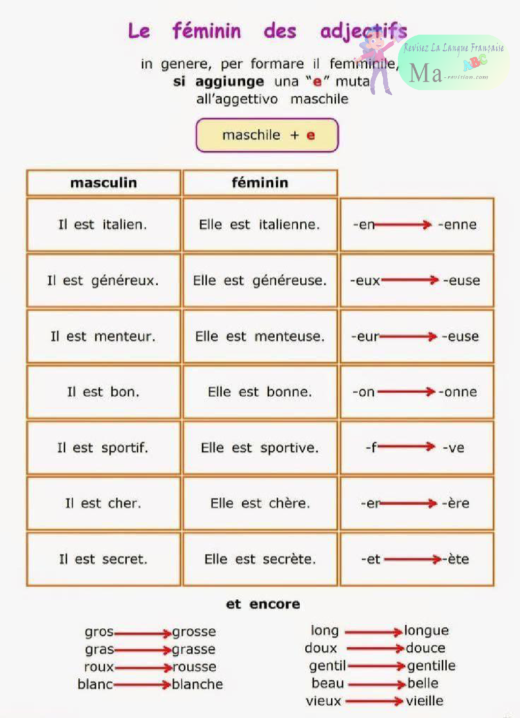 le-feminin-des-adjectifs