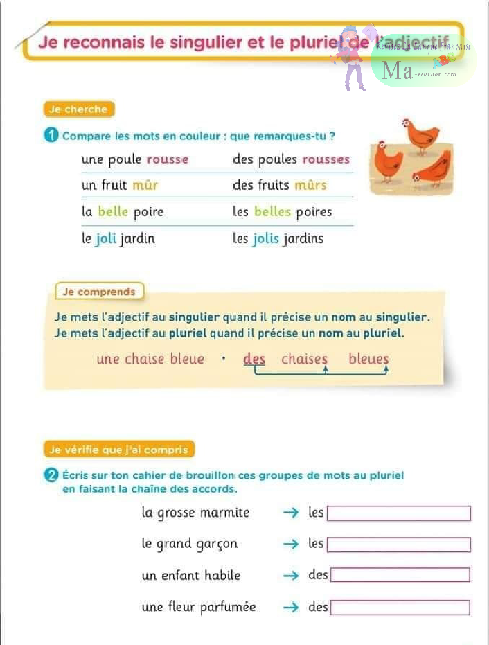 exercice-je-reconnais-le-singulier-et-le-pluriel-de-l-adjectif
