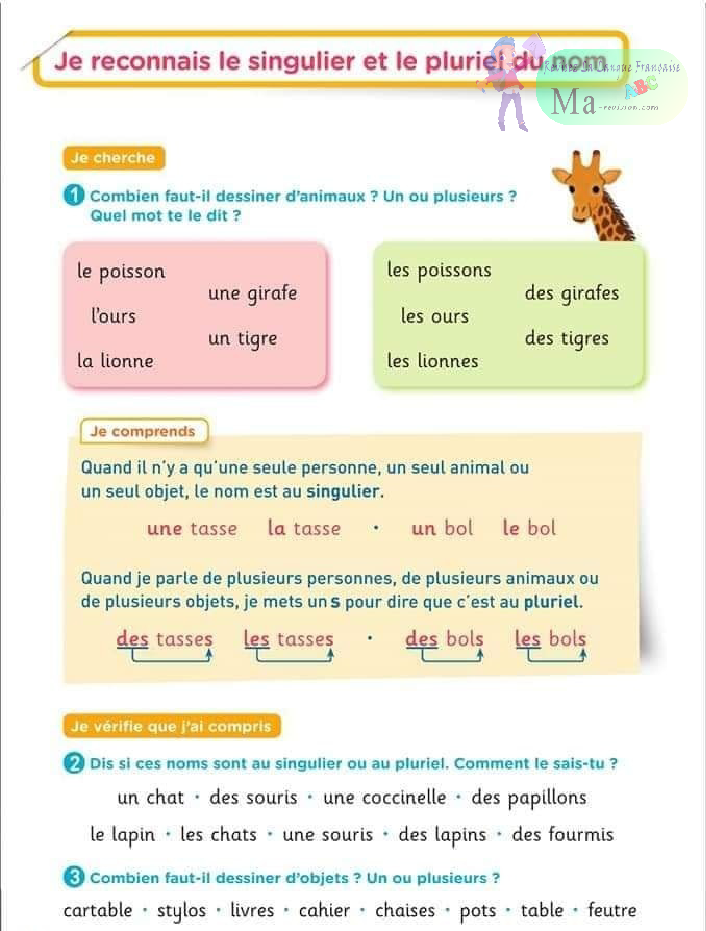 exercice-je-reconnais-le-singulier-et-le-pluriel-du-nom