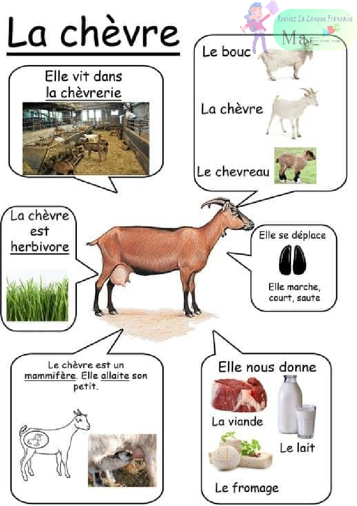 les-animaux-de-la-ferme