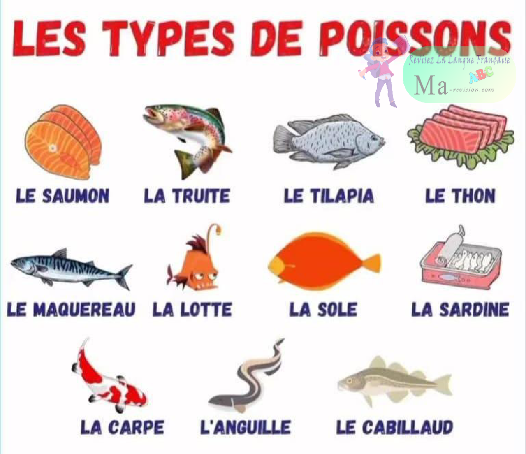les-types-de-poissons
