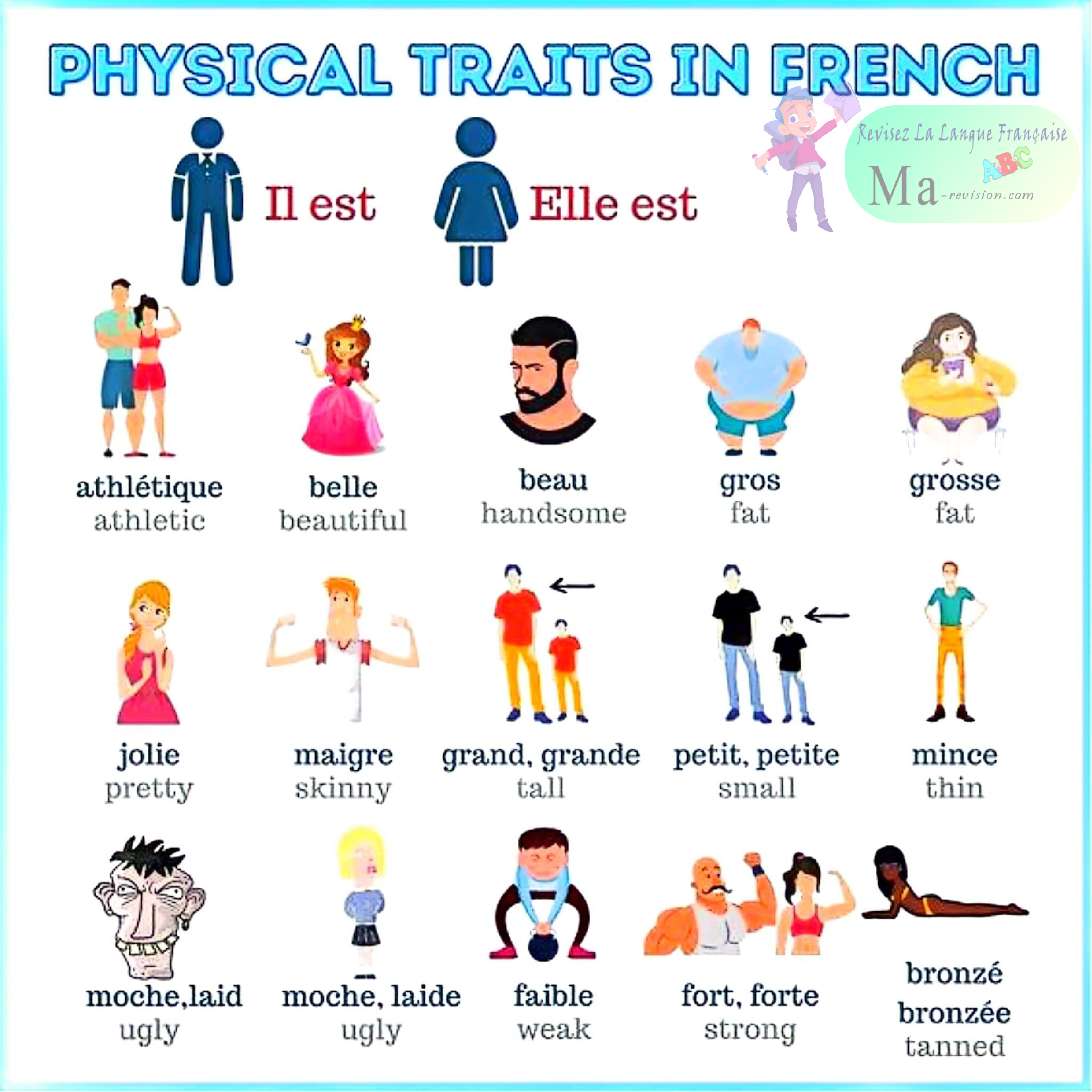 traits-physiques-en-francais