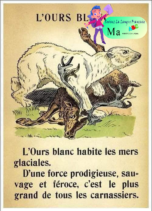 decrire_les_animaux_2