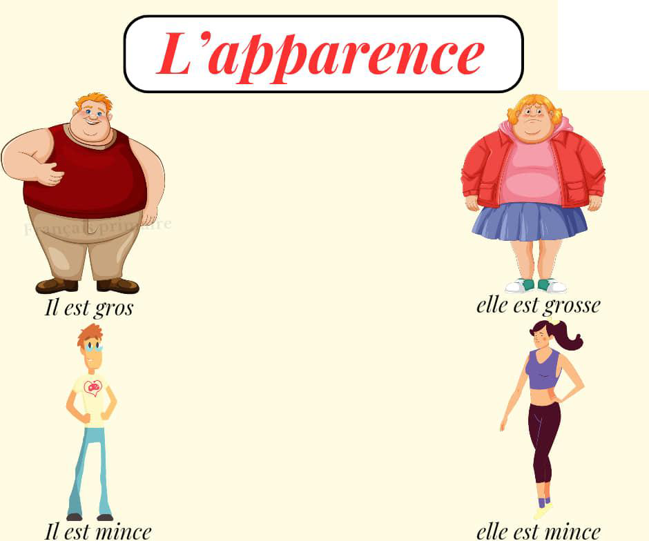 decrire_une_personne_3