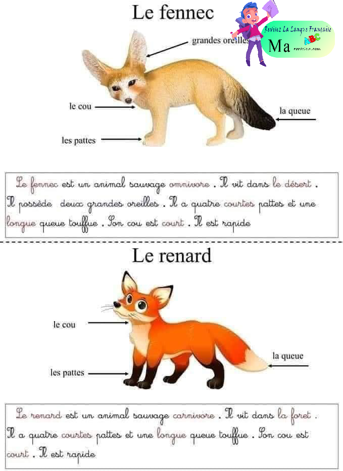 description_des_animaux