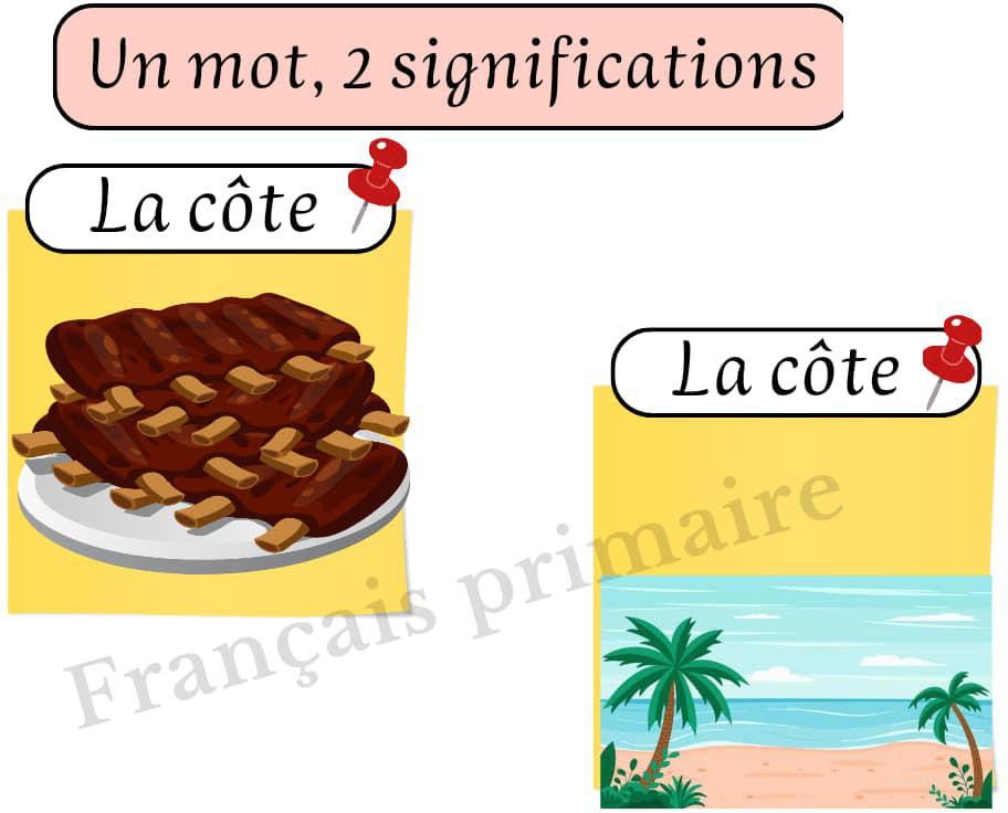 affichage_un_mot_de_deux_significations-grammaire-ma-revision.com