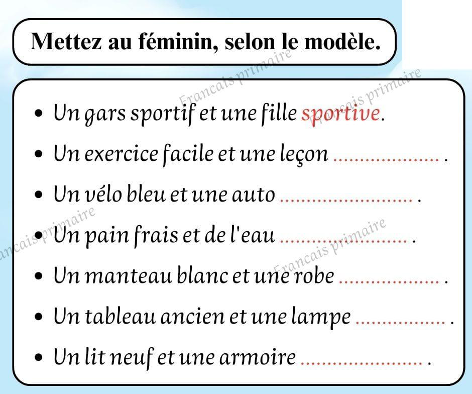 exercices_sur_les_feminins_et_les_masculins-grammaire-ma-revision.com