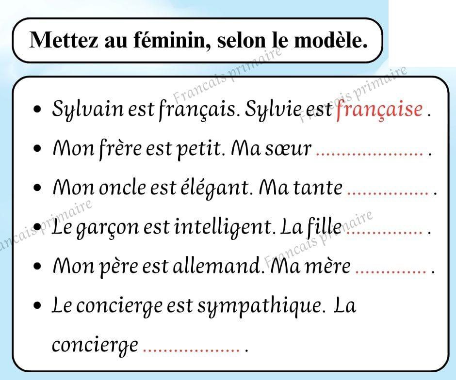exercices_sur_les_feminins_et_les_masculins-grammaire-ma-revision.com