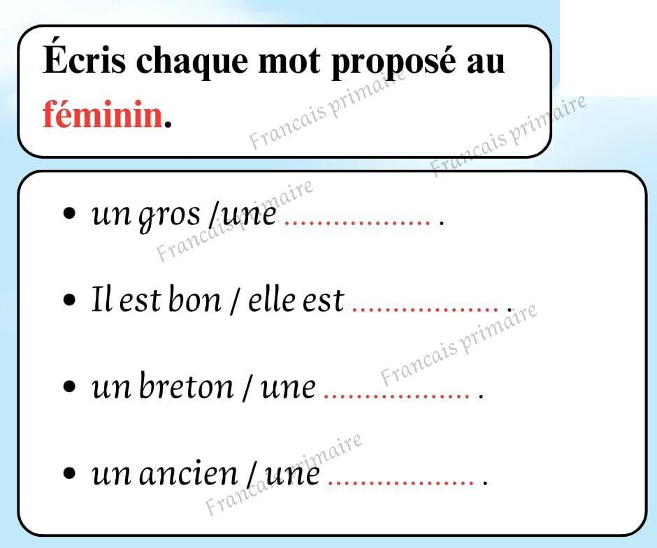 exercices_sur_les_feminins_et_les_masculins-grammaire-ma-revision.com