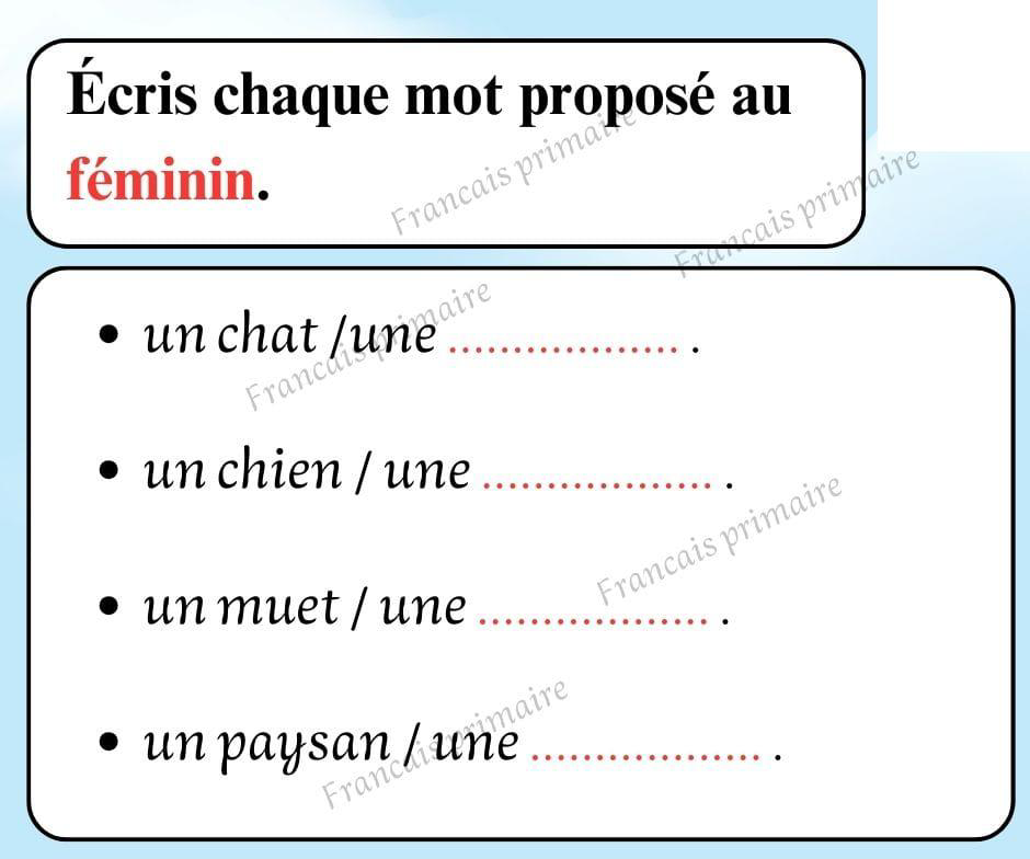 exercices_sur_les_feminins_et_les_masculins-grammaire-ma-revision.com