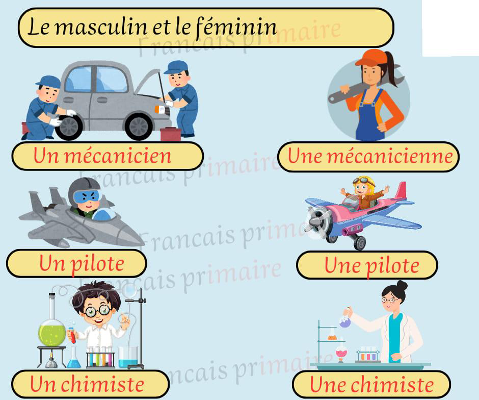 le_masculin_et_le_feminin