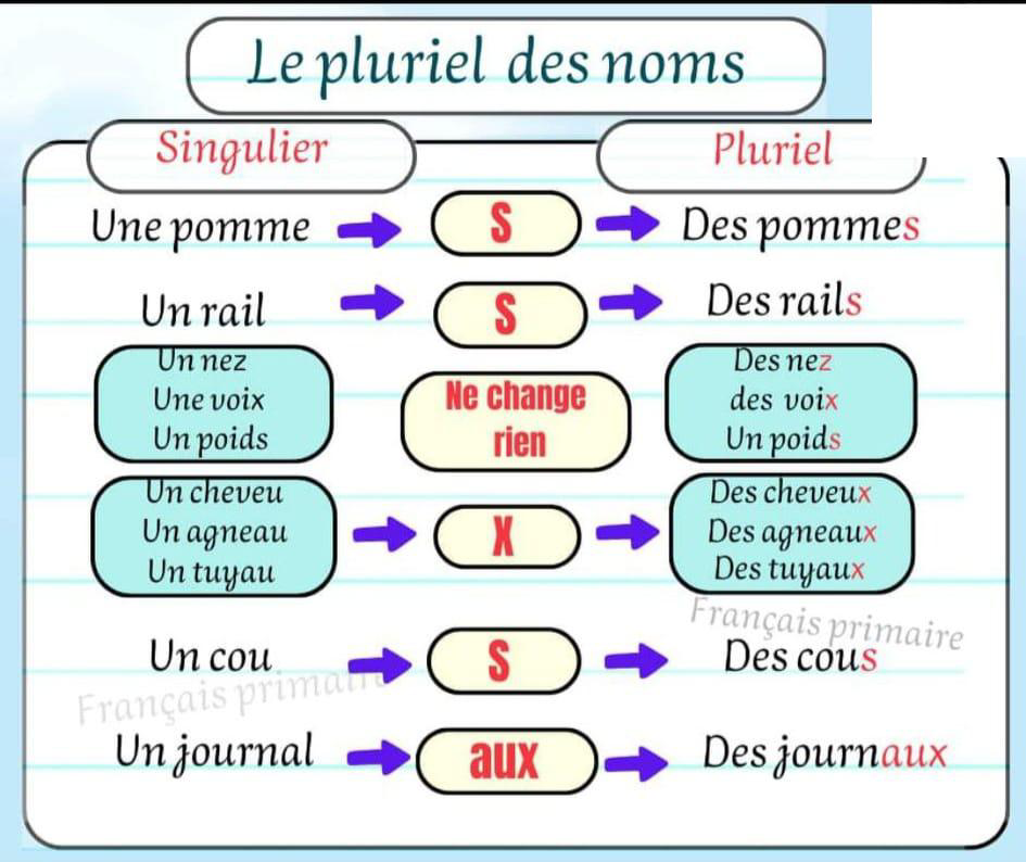 le_pluriel_des_noms