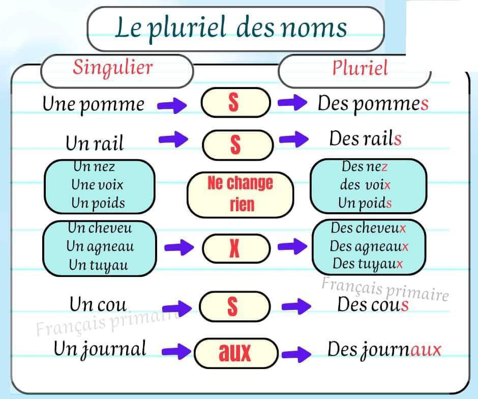 le_pluriels_des_noms