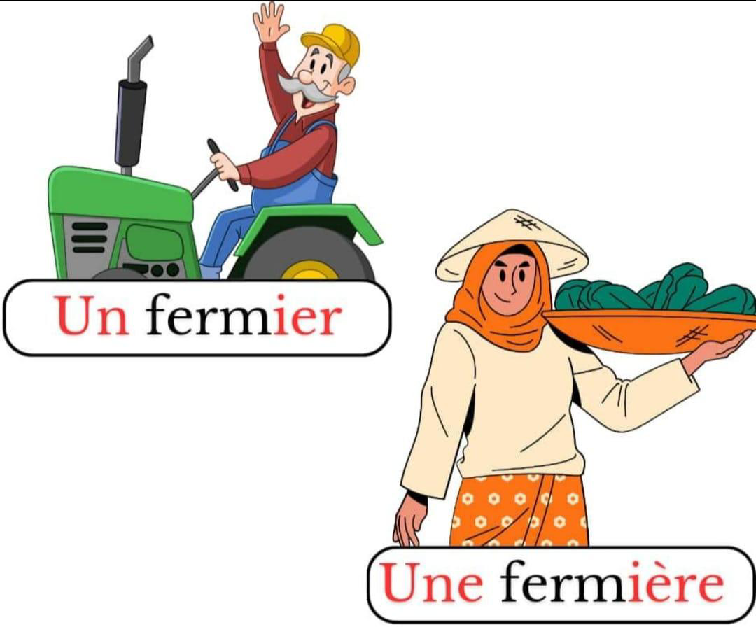 les_metiers_au_feminin_et_masculin-grammaire-ma-revision.com