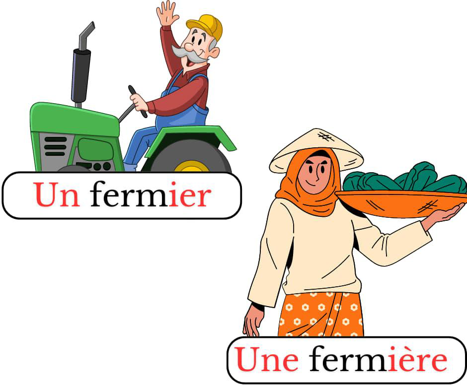 les_metiers_au_feminin_et_masculin_classe_cp