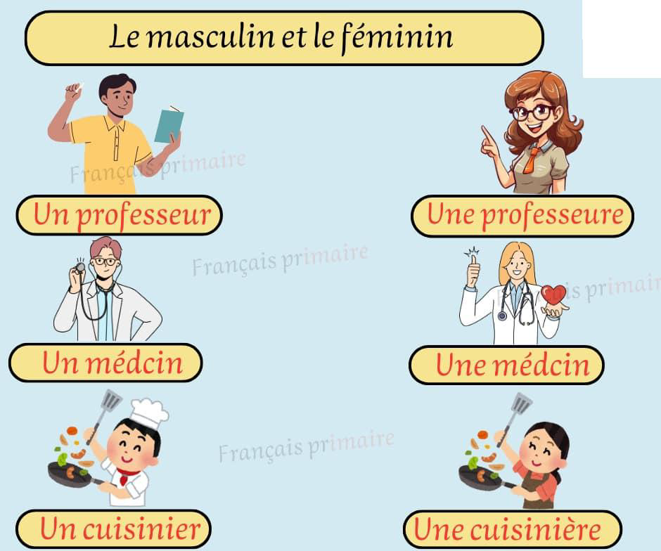masculin_et_feminin_2