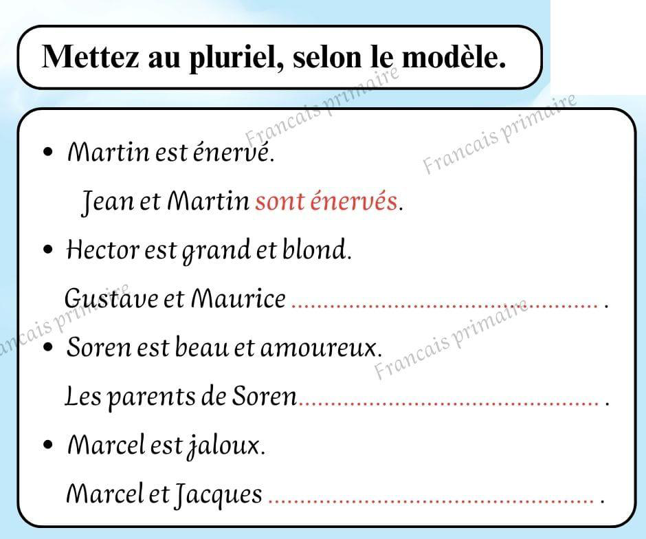 mettre_au_pluriel