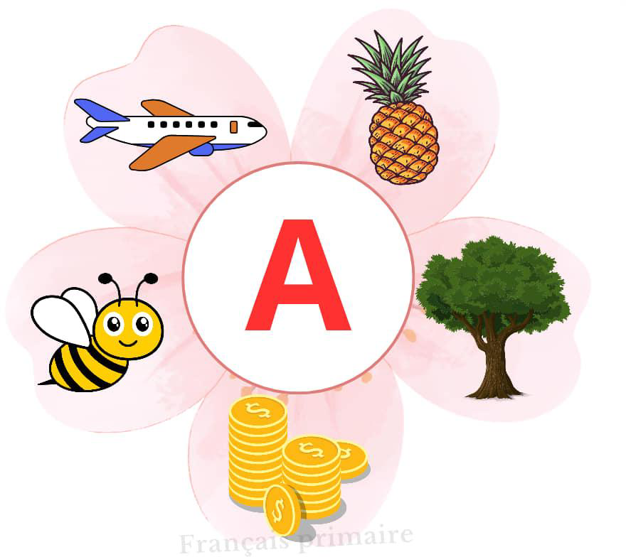 affichage_alphabet_en_images