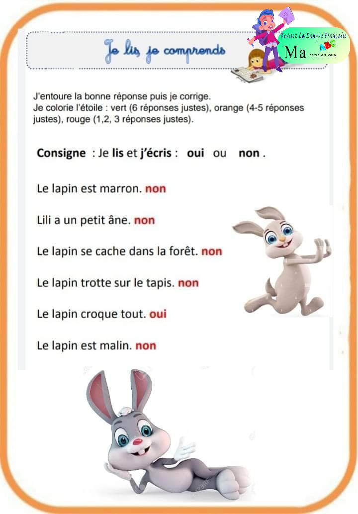 lecture_comprehension_texte_le_lapin_de_Lili