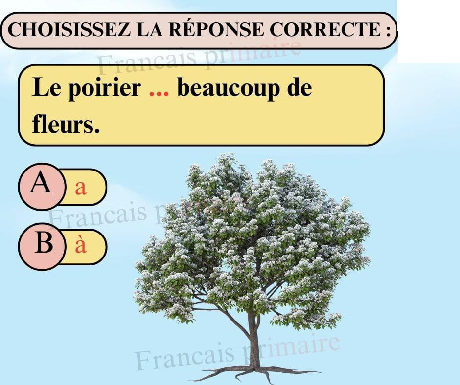 exercices_sur_les_homophones_a_et_à_classe_ce