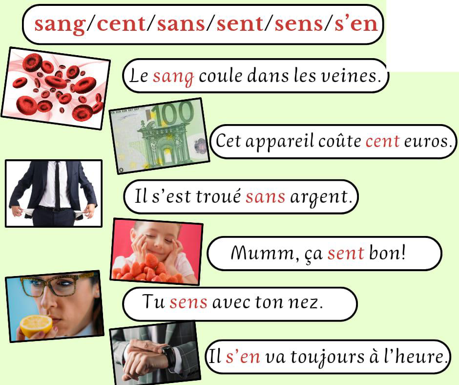 les_homophones_sang_cent_sans_sent_sens
