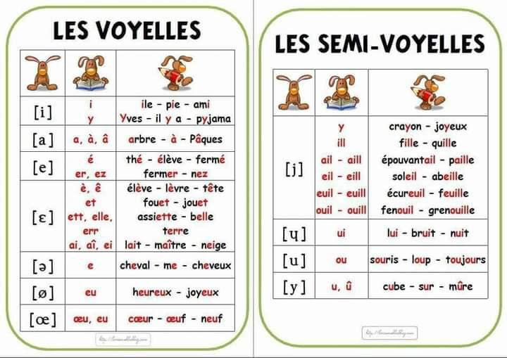 les_voyelles-semi_voyelles_et_les_consonnes