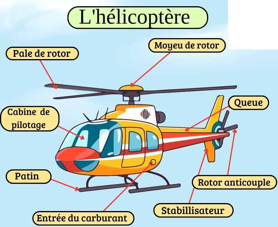 l_helicoptere