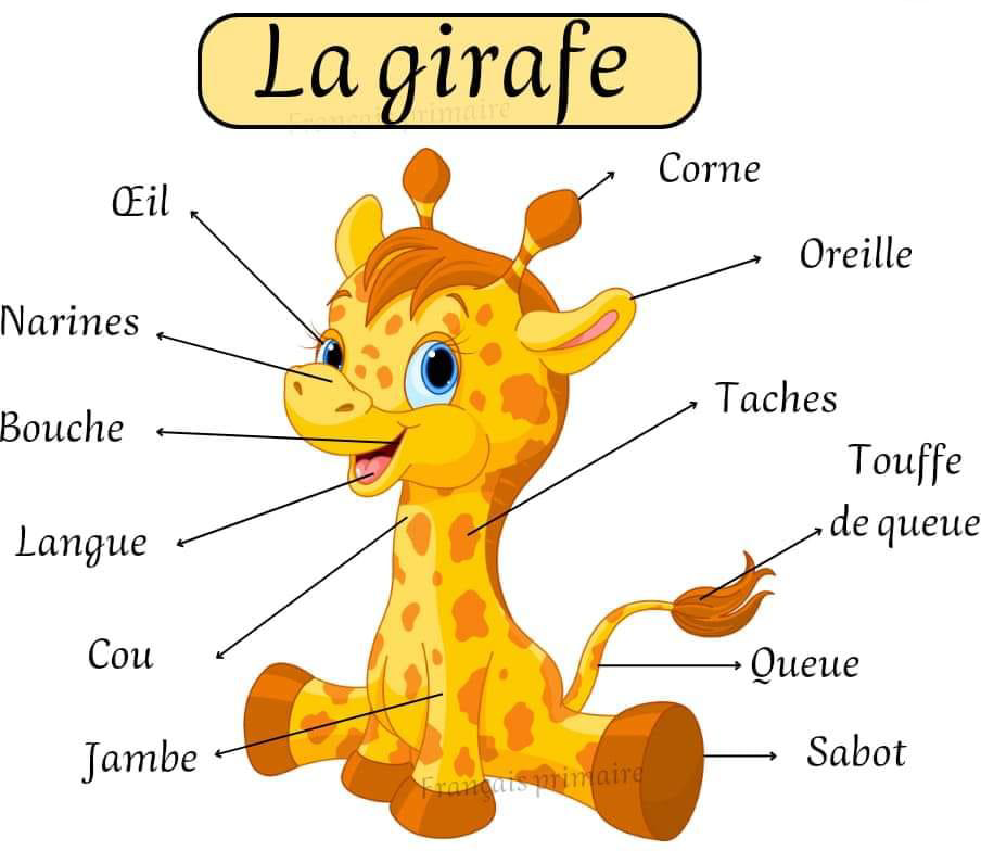 la_girafe