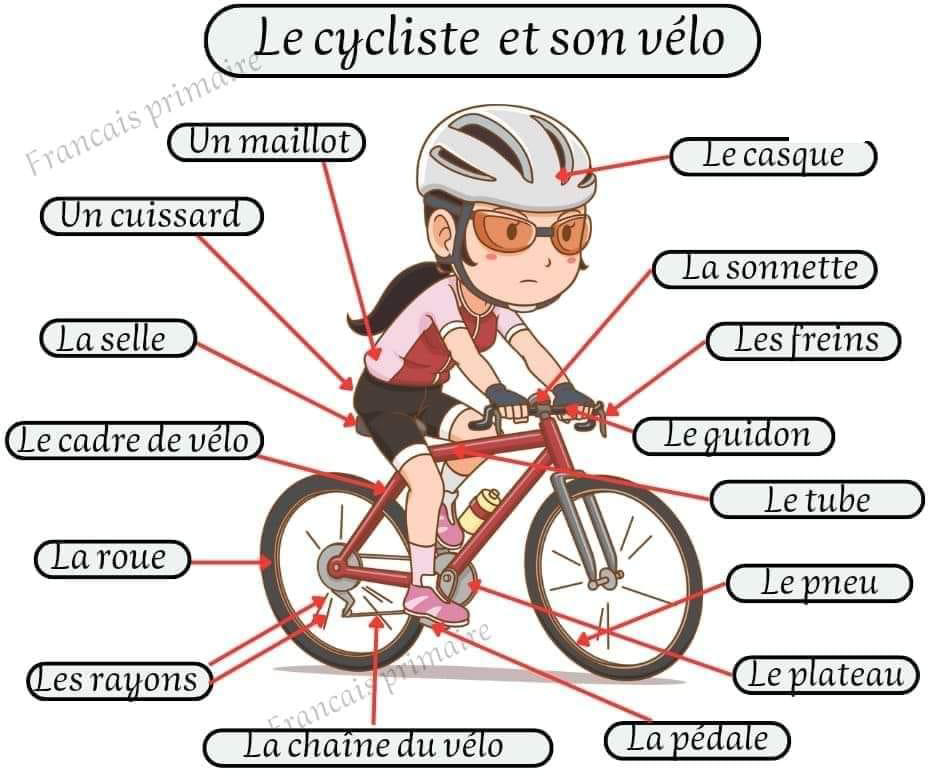 le_cycliste_et_son_velo