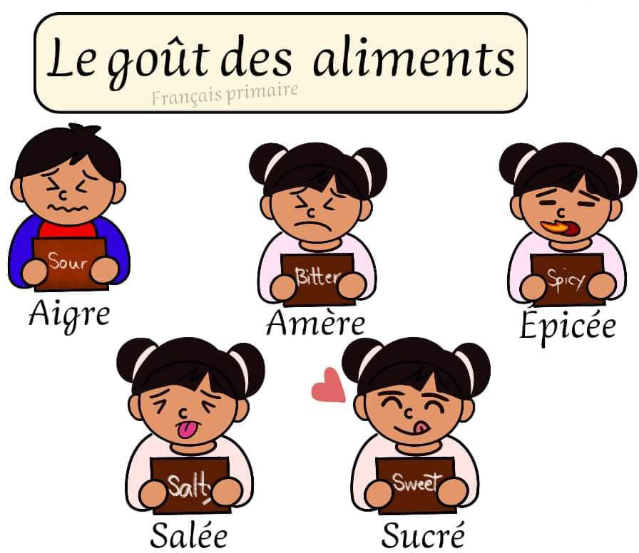 le_gout_des_aliments