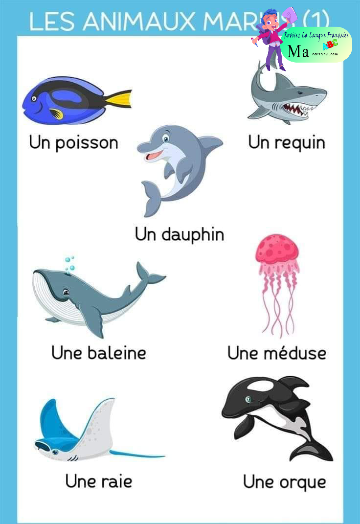 les_animaux_marins