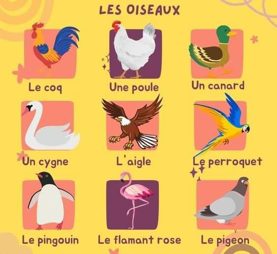 les_oiseaux
