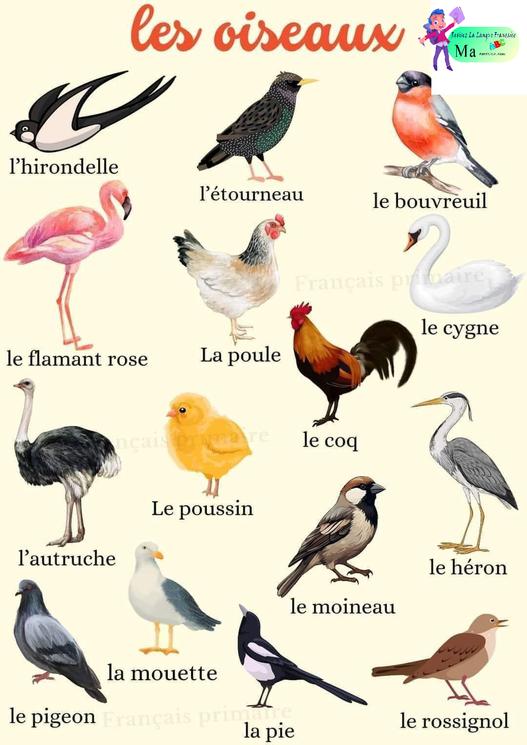 les_oiseaux_2