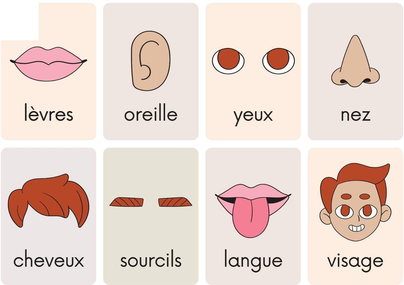 les_parties_de_visage