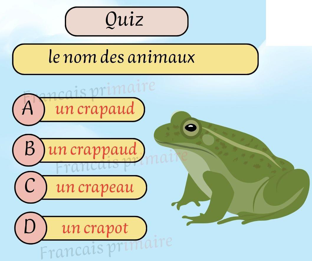 quiz_nom_des_animaux