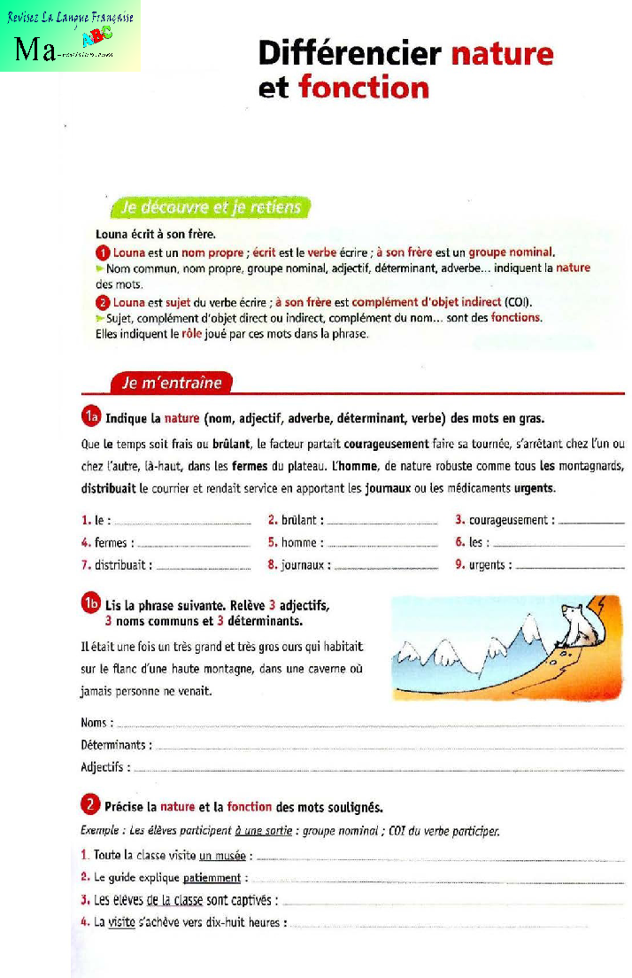 differencier-nature-et-fonction