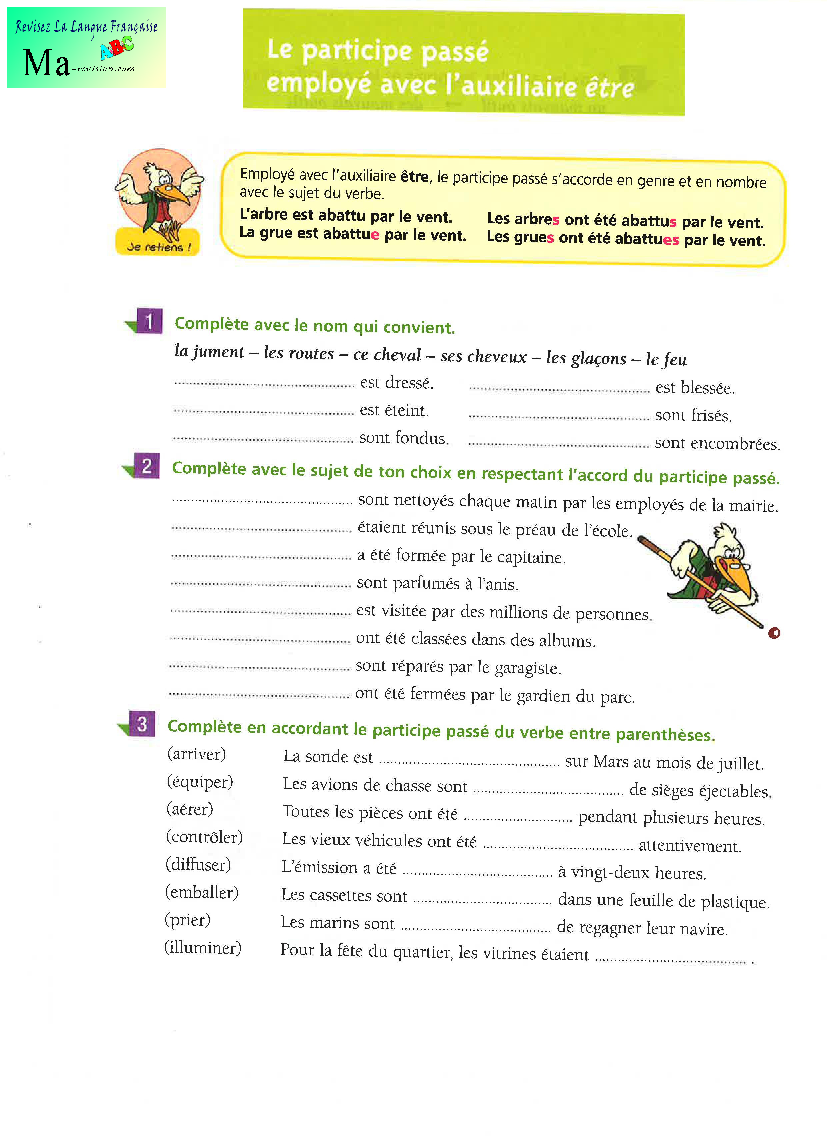 le-participe-passé-employé-avec-l-auxiliaire-etre
