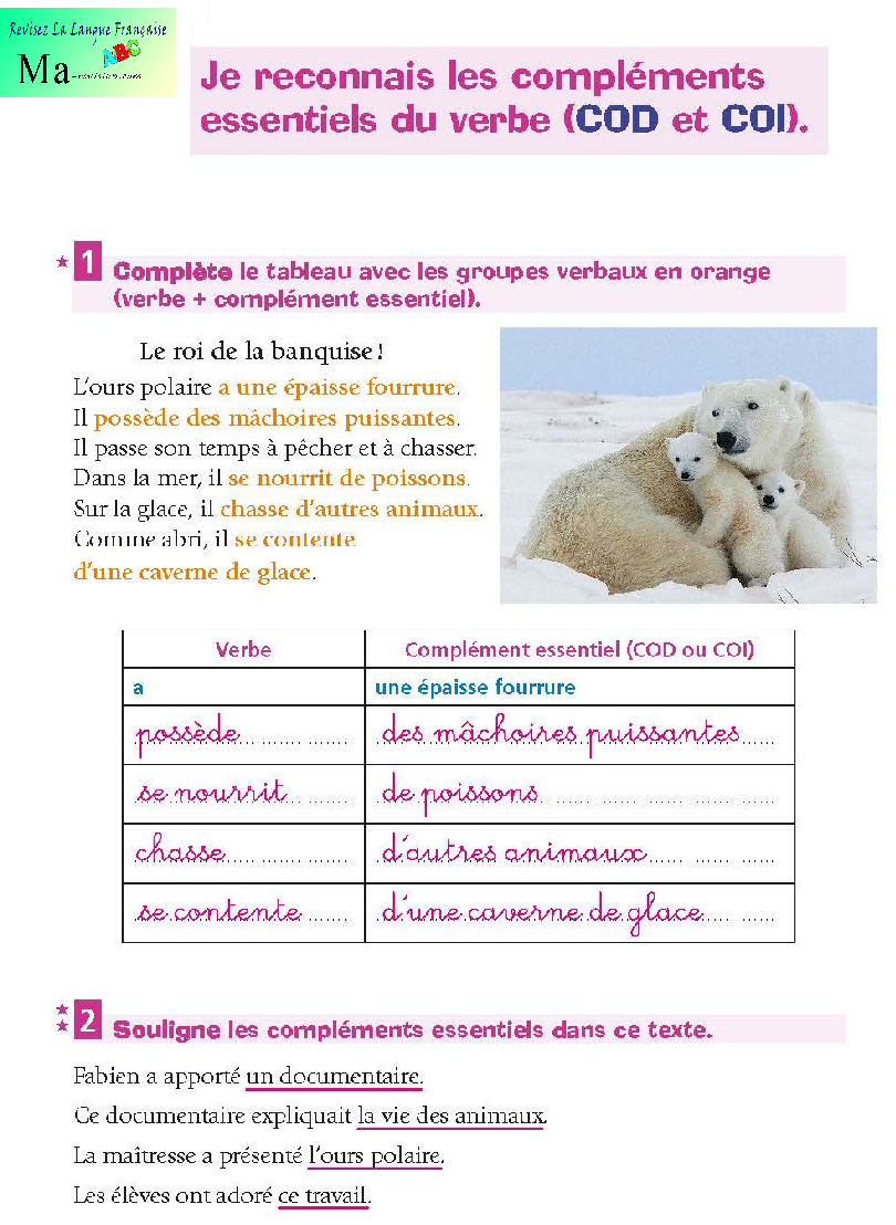 connaitre-les-complements-essenciels-du-verbe-COD-et-COI