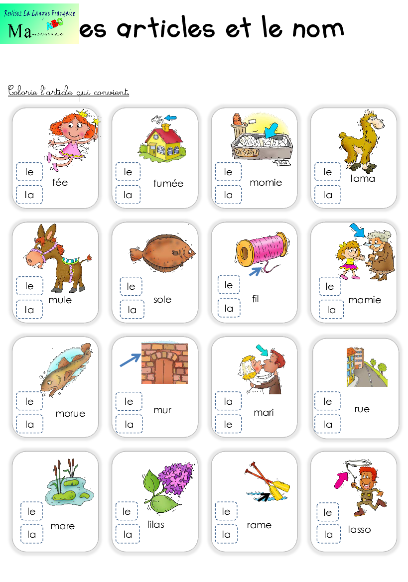 les-articles-et-le-nom-cp